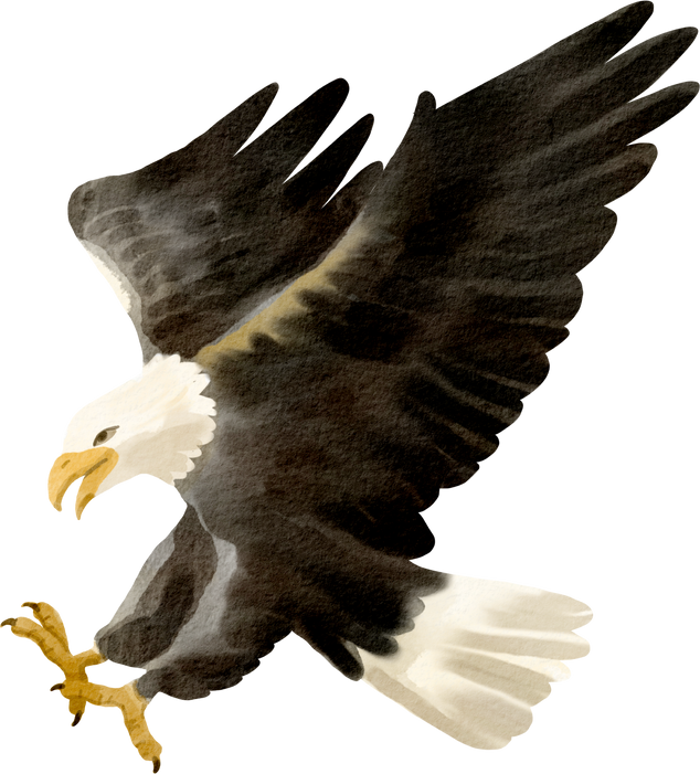 eagle watercolor